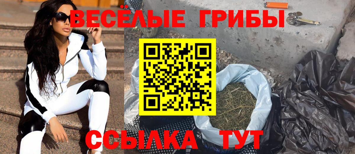 Ульяновск  Галлюциногенные грибы MAGIC MUSHROOMS  купить наркотики цена  Вход с VPN  Галлюциногенные грибы GOLDEN TEACHER 